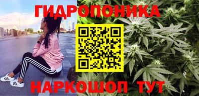 эйфоретик Заволжье