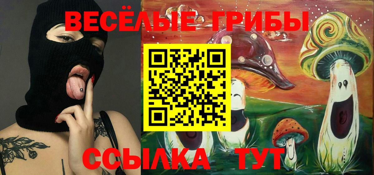 Галлюциногенные грибы мицелий Курчатов
